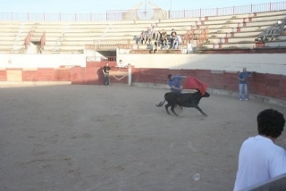 Recortes